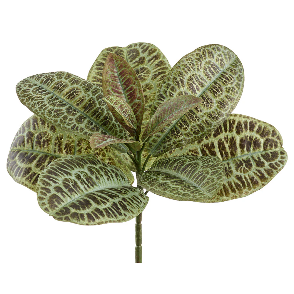 13" Labisia Leaf Silk Plant -Green (Pack of 12)
