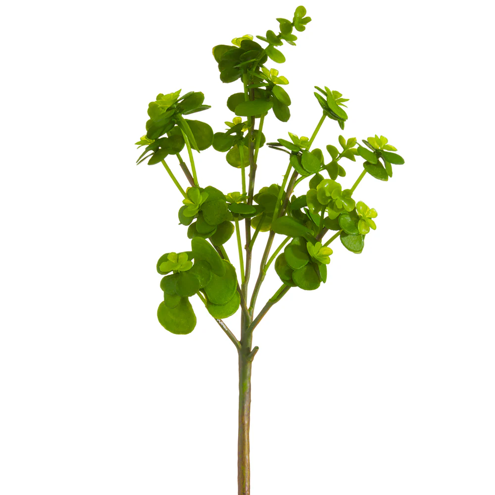 13" Real Touch Artificial Dischidia Ant Plant Stem Pick -Green (Pack of 12)