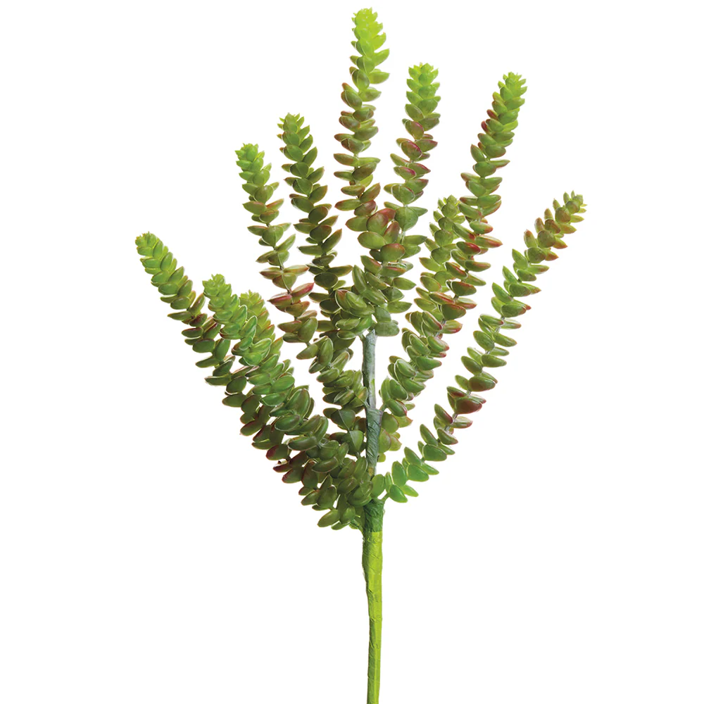 13" Real Touch Artificial Donkey Tail Succulent Stem Pick -Green/Burgundy (Pack of 6)