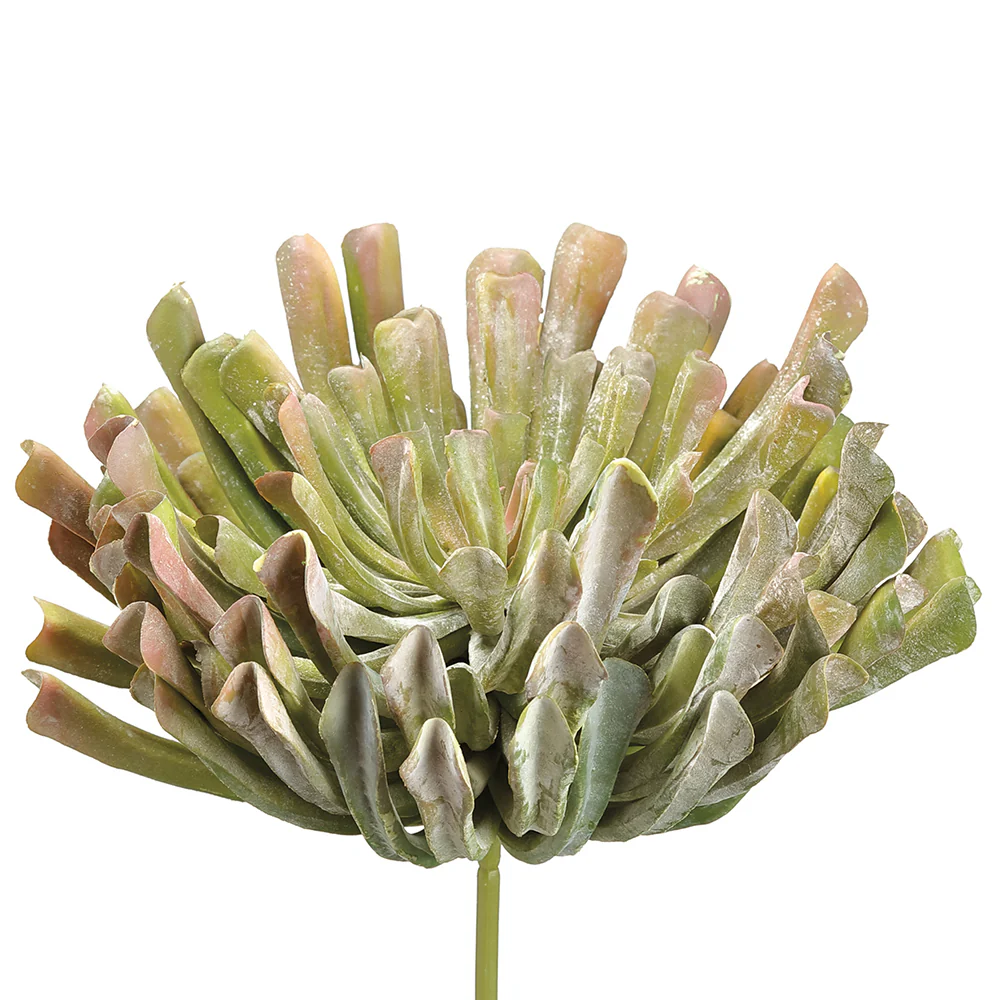13" Real Touch Giant Artificial Aeonium Stem Pick -Green/Mauve (Pack of 2)