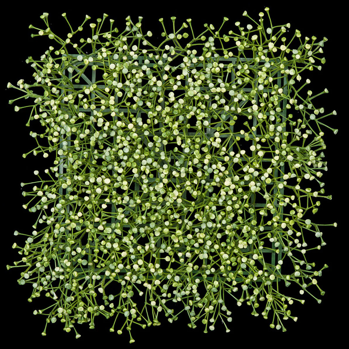 13"x13" Artificial Baby's Breath Gypsophila Flower Mat -Cream/Green (Pack of 6)