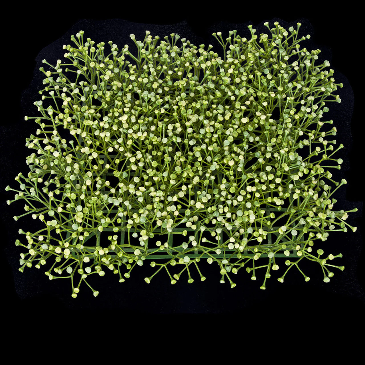 13"x13" Artificial Baby's Breath Gypsophila Flower Mat -Cream/Green (Pack of 6) - Image 2