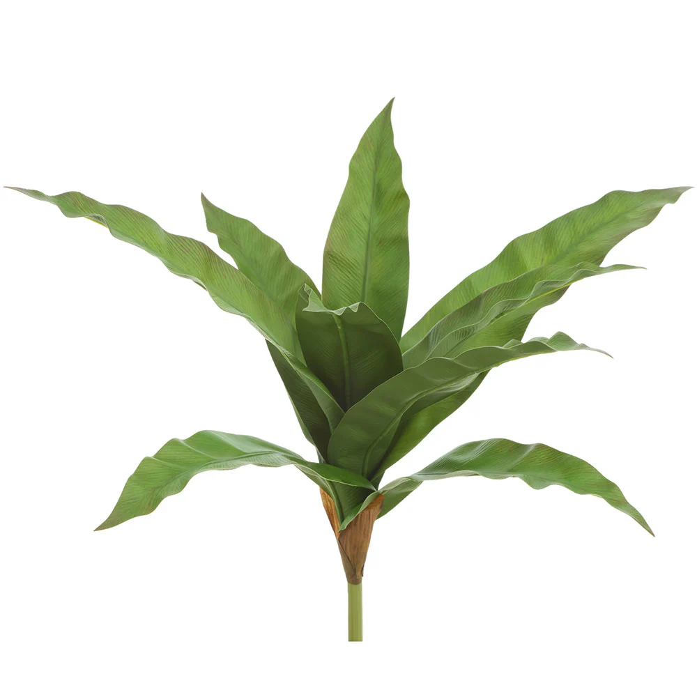 14.5" Bird's Nest Fern Leaf Silk Plant -Green/Brown (Pack of 12)
