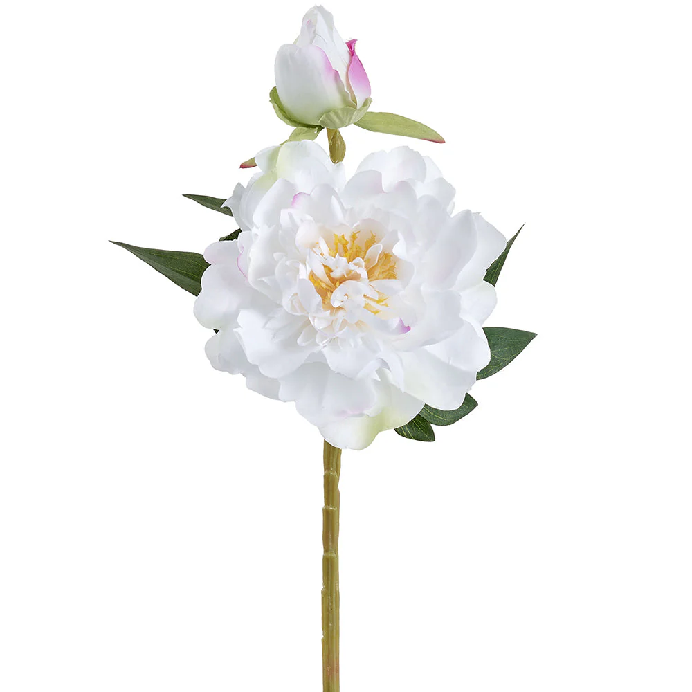 14.5" Peony Silk Flower Stem -White (Pack of 12)