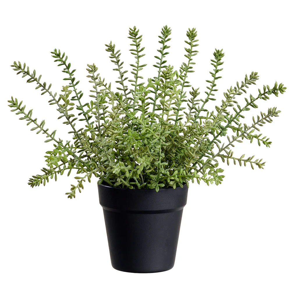 14.5" Sedum Succulent Artificial Plant w/Plastic Pot -Green (Pack of 6)