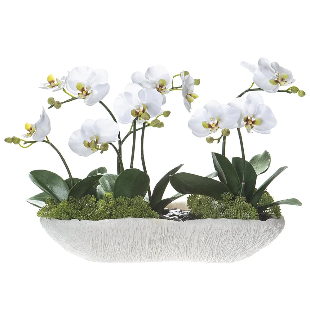 14.5"Hx23"W Phalaenopsis Orchid & Skimmia Silk Flower Arrangement w/Long Coral Vase -White/Green
