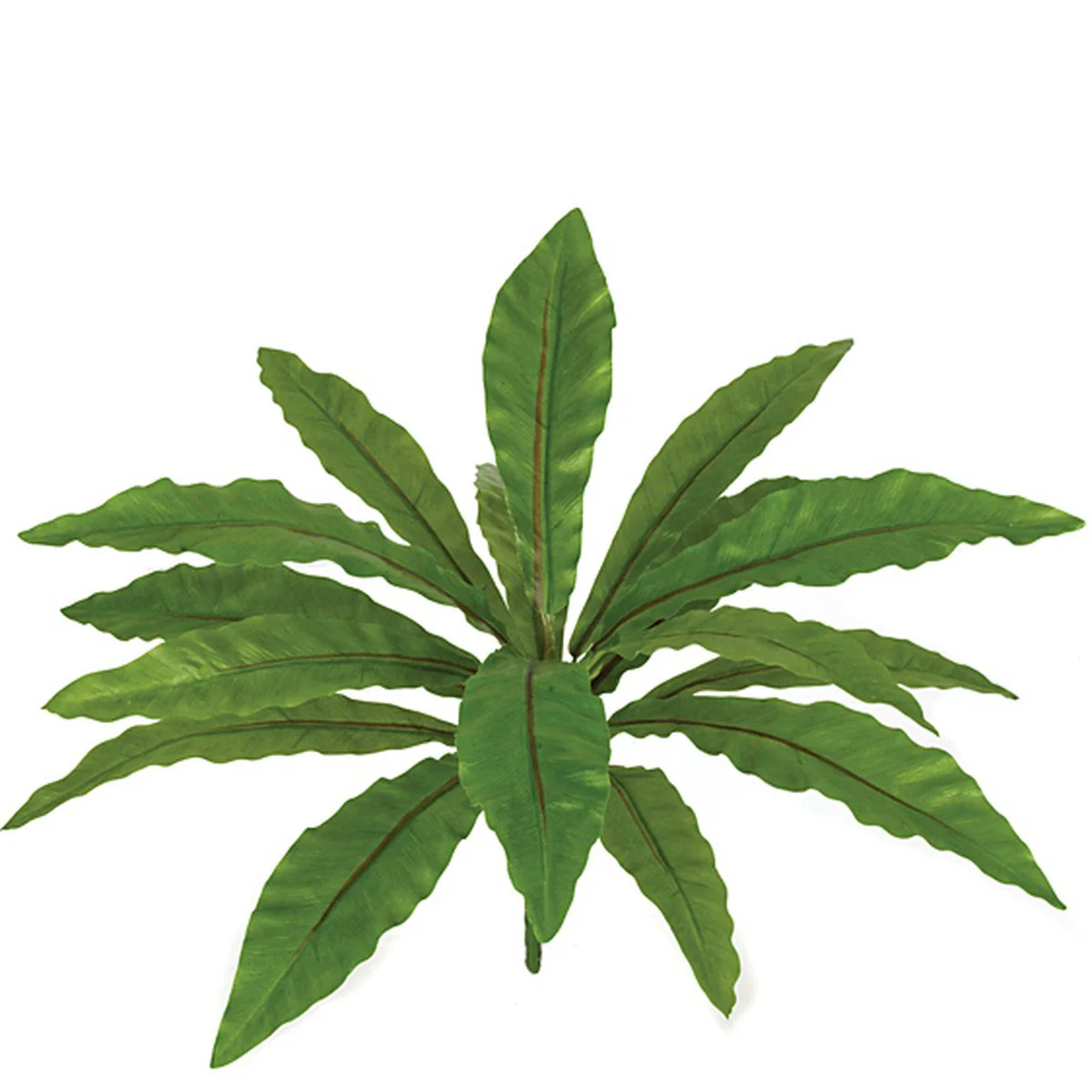 14" Bird's Nest Fern Silk Plant -Green (Pack of 12)