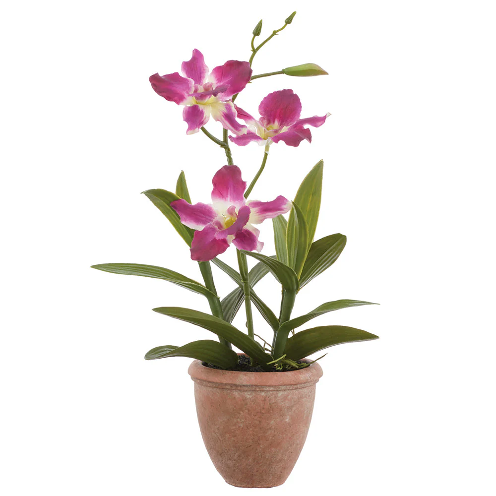 14" Dendrobium Orchid Silk Flower Arrangement w/Terra Cotta Pot -Boysenberry (Pack of 6)