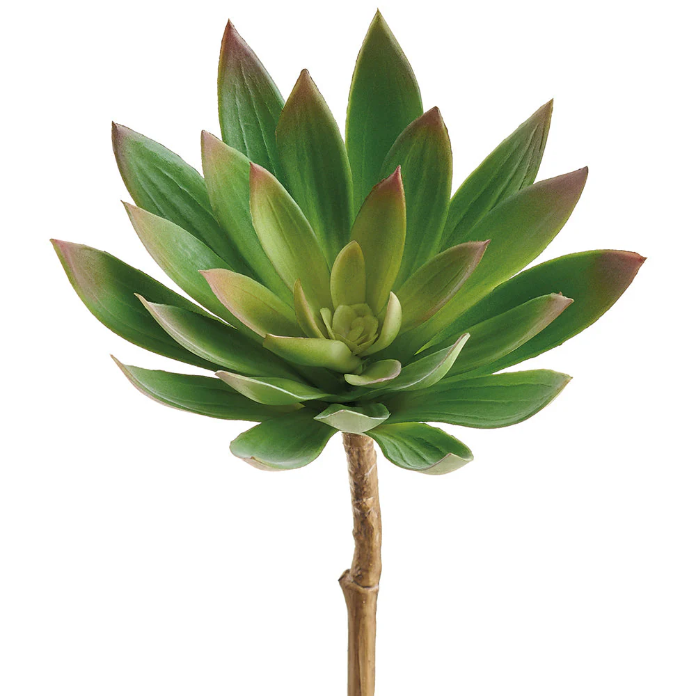 14" Outdoor UV-Resistant Artificial Echeveria Stem Pick -Green (Pack of 12)