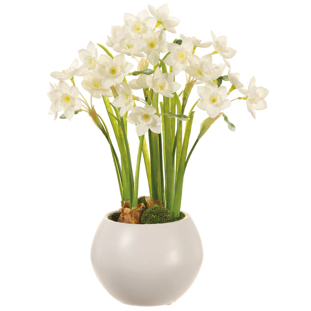 14" Paperwhite Silk Flower Arrangement w/Ceramic Vase -White (Pack of 4)