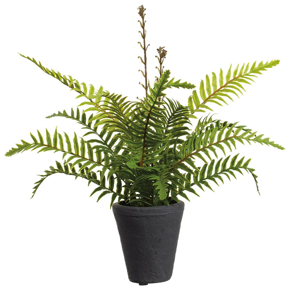 14" PE Soft-Touch Boston Fern Leaf Artificial Plant w/Cement Pot -Green (Pack of 4)