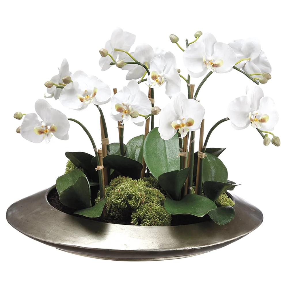 14"Hx19"W Phalaenopsis Orchid & Sedum Silk Flower Arrangement -White