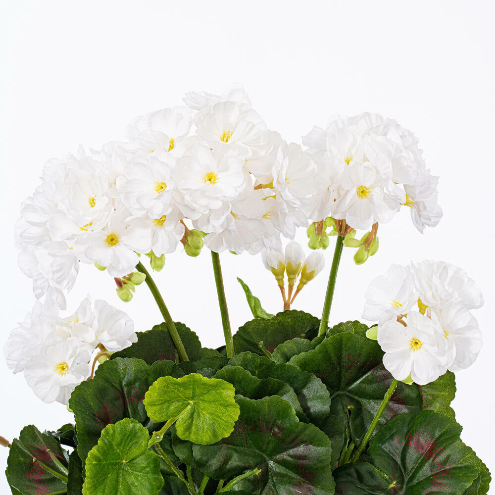 15.25" Silk Geranium Flower Bush -White (Pack of 6) - Image 5
