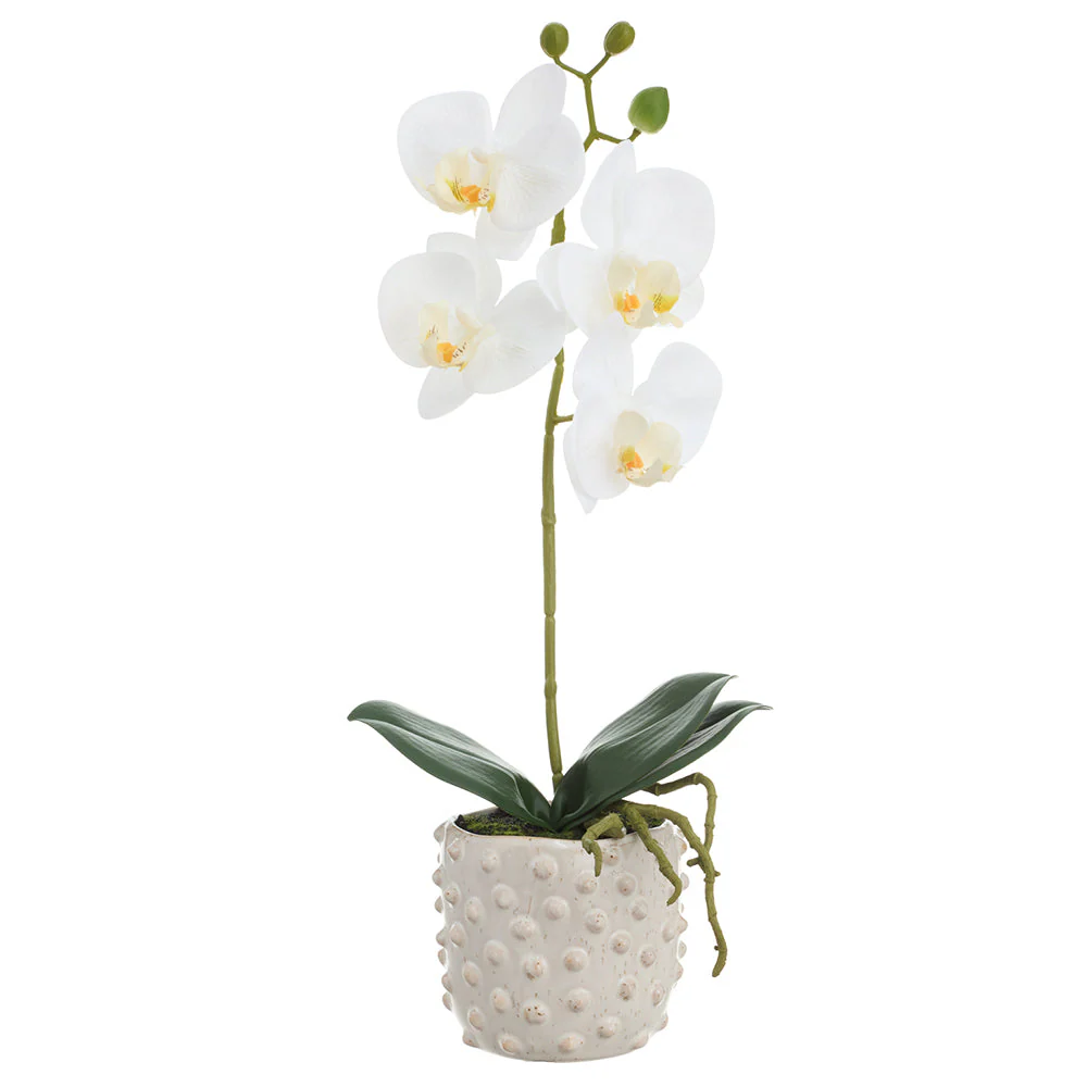 15.5" Phalaenopsis Orchid Silk Flower Arrangement w/Ceramic Vase -White (Pack of 6)