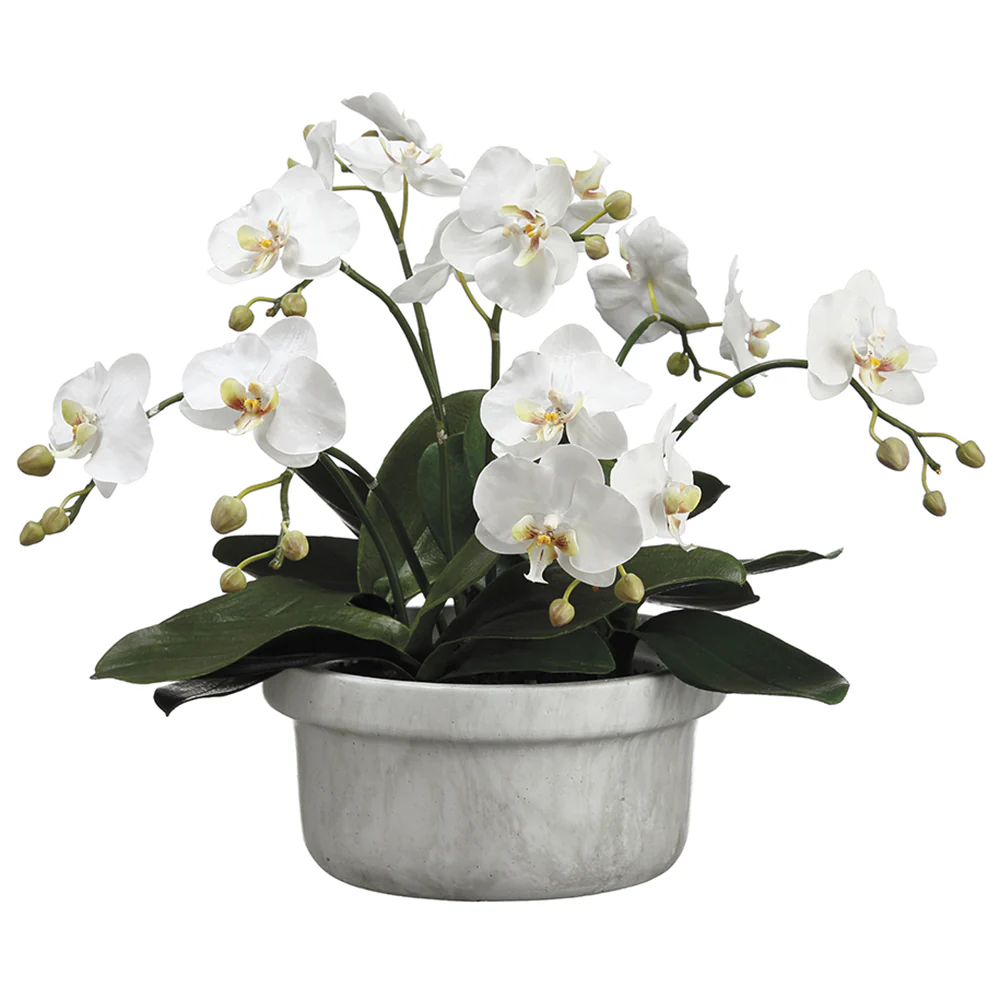 15.5" Phalaenopsis Orchid Silk Flower Arrangement -White