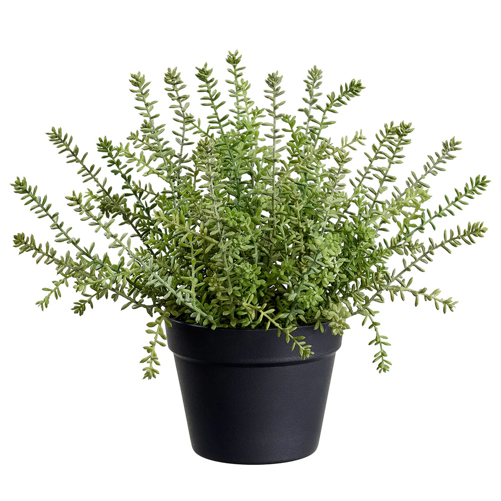 15.5" Sedum Succulent Artificial Plant w/Plastic Pot -Green (Pack of 4)