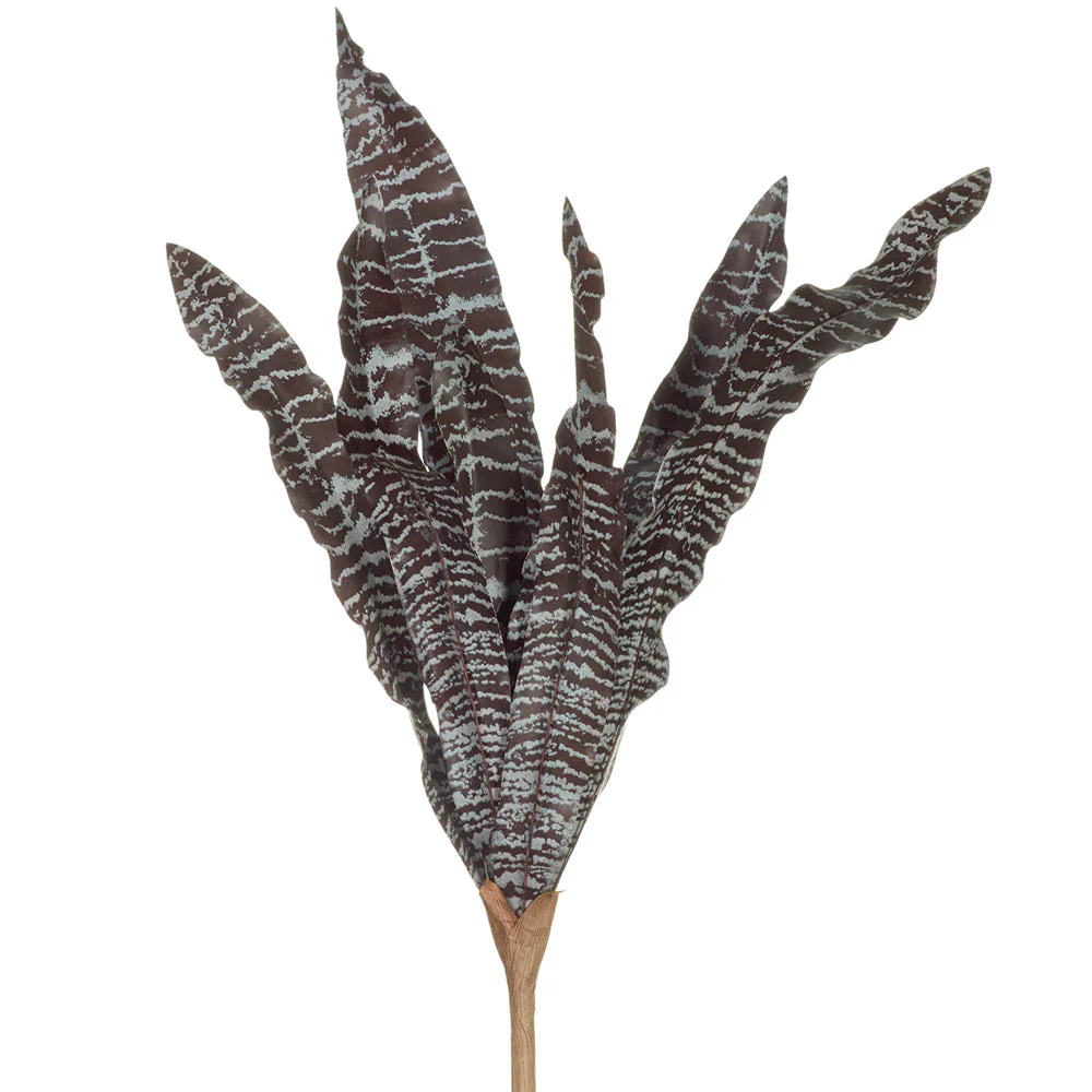 15" Artificial Bromeliad Plant Flower Bush -Burgundy/Brown (Pack of 6)
