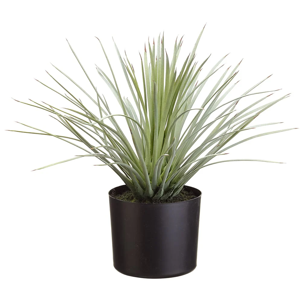 15" Artificial Whipple Yucca Plant w/Plastic Pot -Green/Gray (Pack of 2)