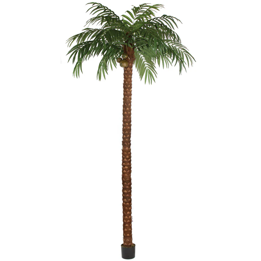 15' Coconut Silk Palm Tree w/Pot -Green