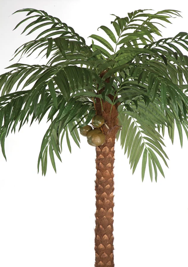 15' Coconut Silk Palm Tree w/Pot -Green - Image 2