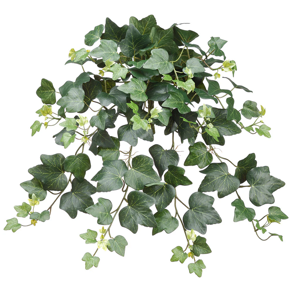 15" Hanging Ivy Gala Leaf Silk Plant -Green (Pack of 6)