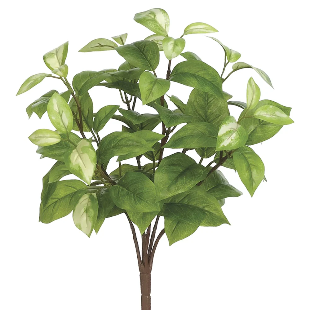 15" Hoya Silk Plant -Green/Cream (Pack of 12)
