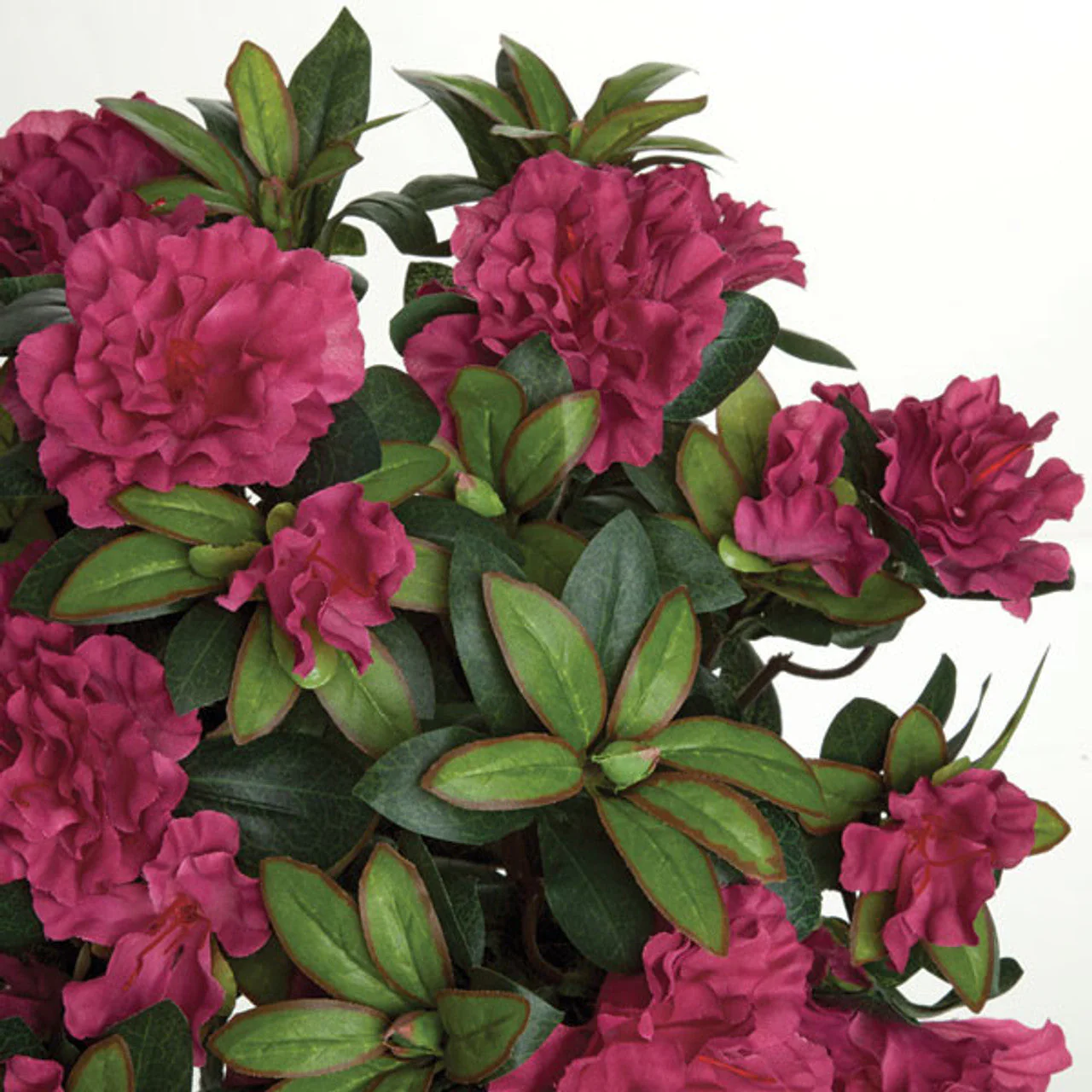 15" IFR Artificial Azalea Flower Bush -Fuchsia/Beauty (Pack of 6) - Image 2
