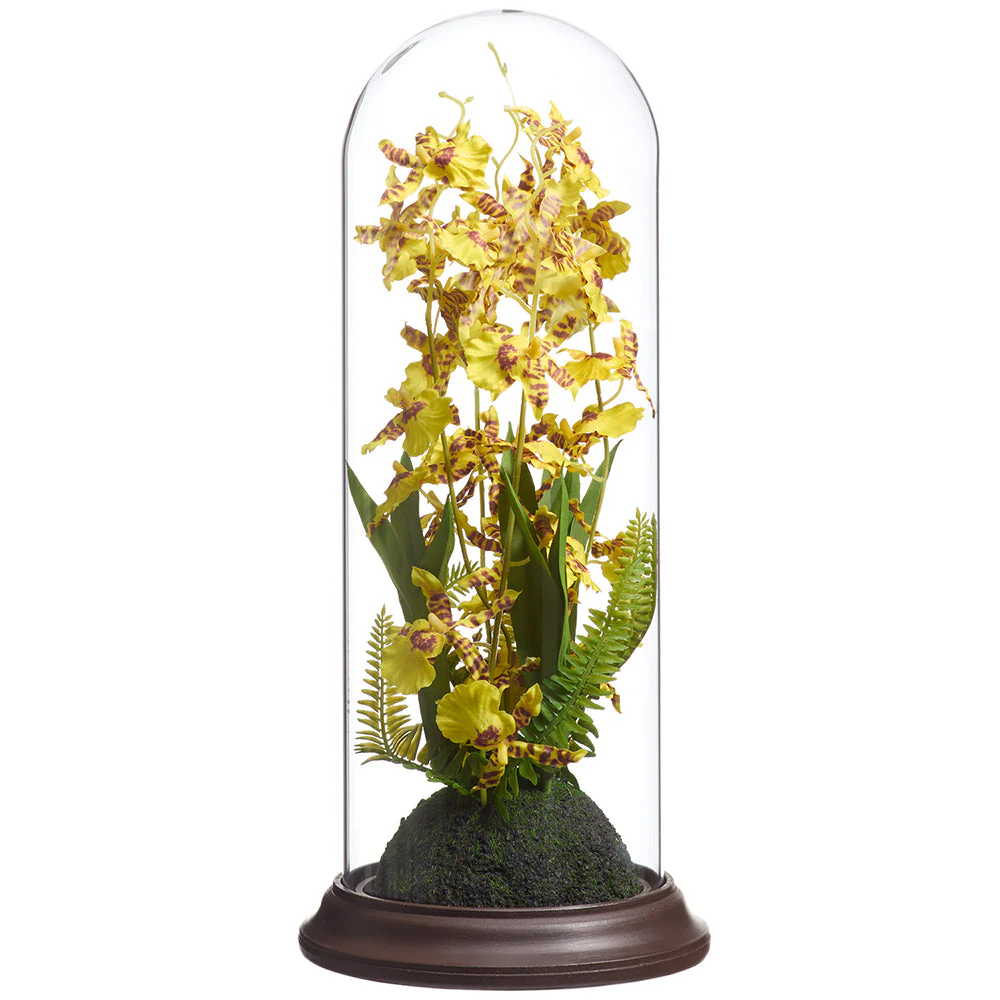 15" Oncidium Orchid Silk Flower Arrangement w/Glass Dome -Yellow (Pack of 4)