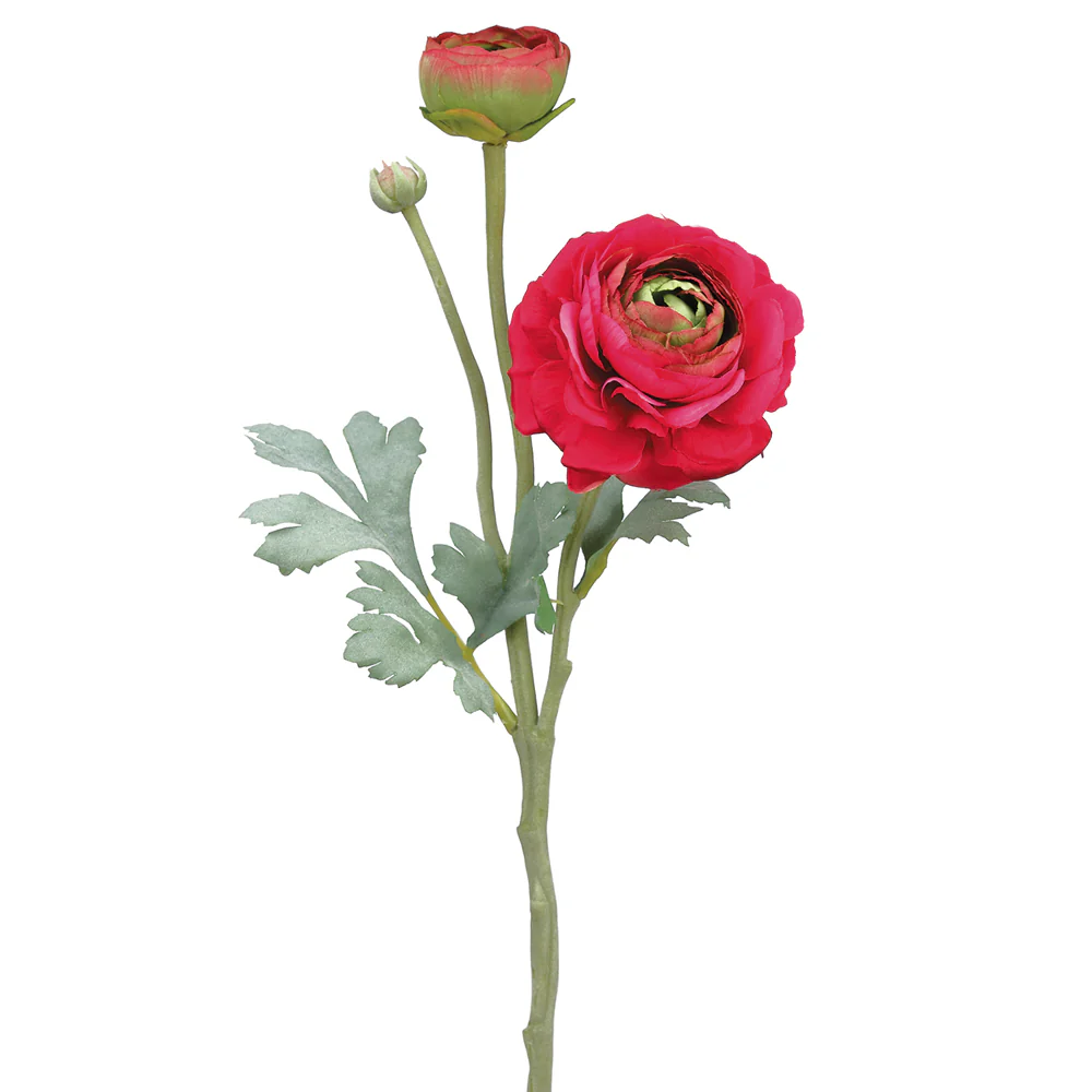 15" Ranunculus Silk Flower Stem -Beauty (Pack of 12)