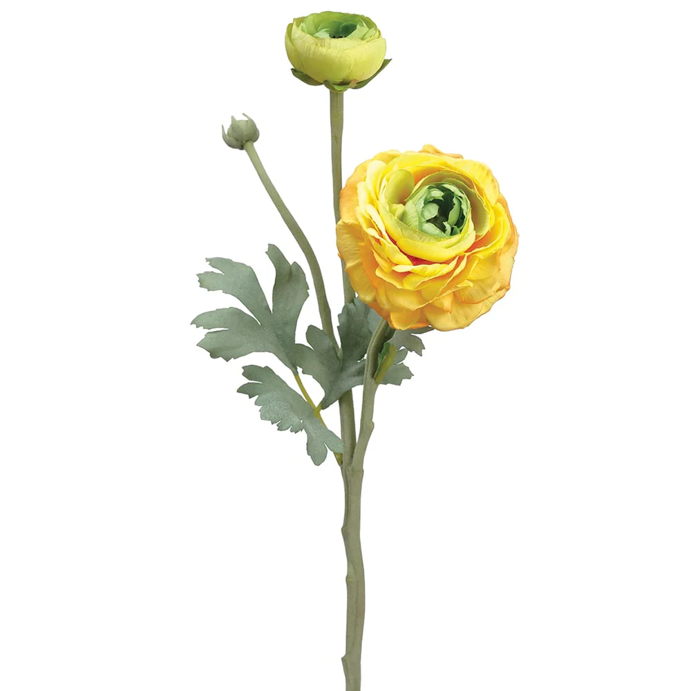 15" Ranunculus Silk Flower Stem -Yellow/Green (Pack of 12)