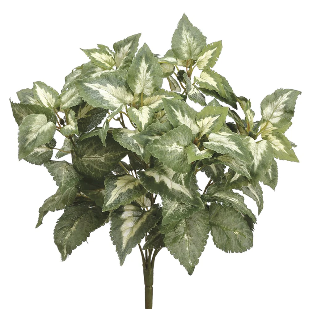 15" Silk Coleus Plant -Green/Variegated (Pack of 6)