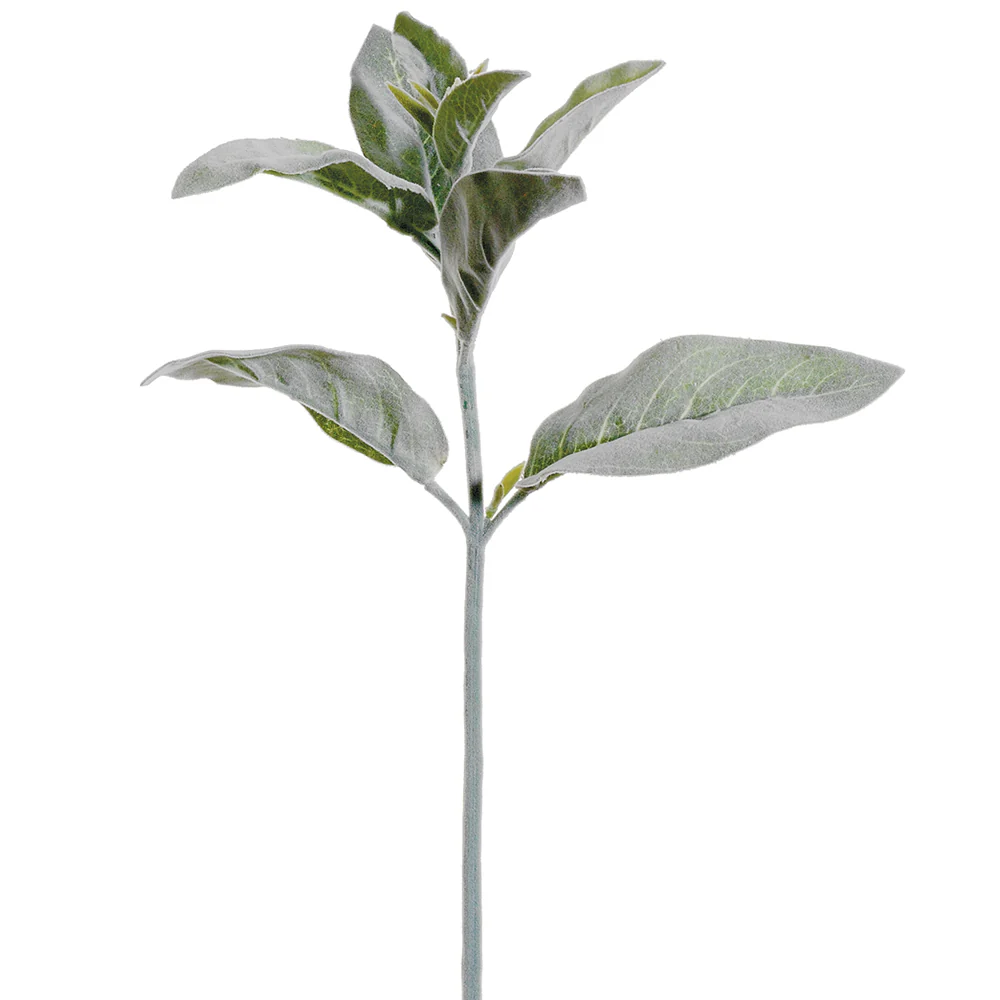 15" Silk Lamb's Ear Stem -Green/Gray (Pack of 12)