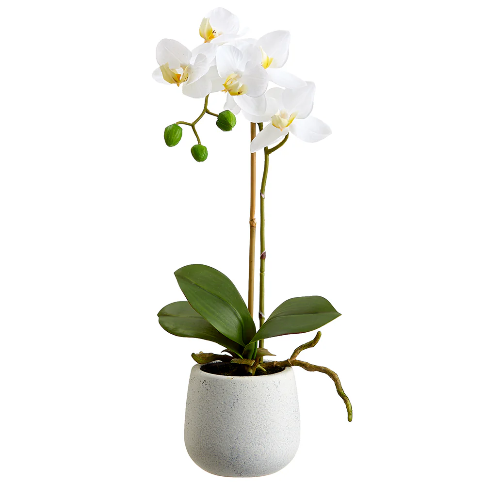 15" Silk Phalaenopsis Orchid Flower Arrangement w/Ceramic Pot -White (Pack of 6)