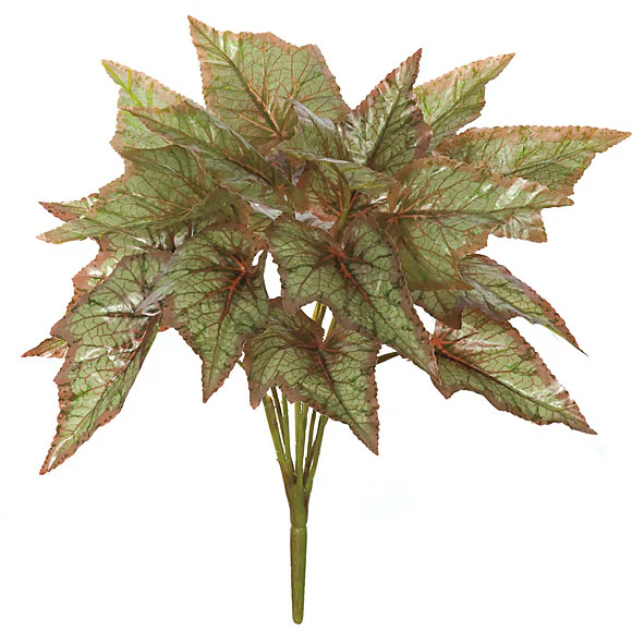 15" Soft-Touch Begonia Silk Plant -Green/Brown (Pack of 24)