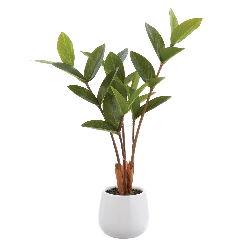 15" Zanzibar Gem Zamioculcas Succulent Artificial Plant w/Ceramic Vase -Green (Pack of 6)