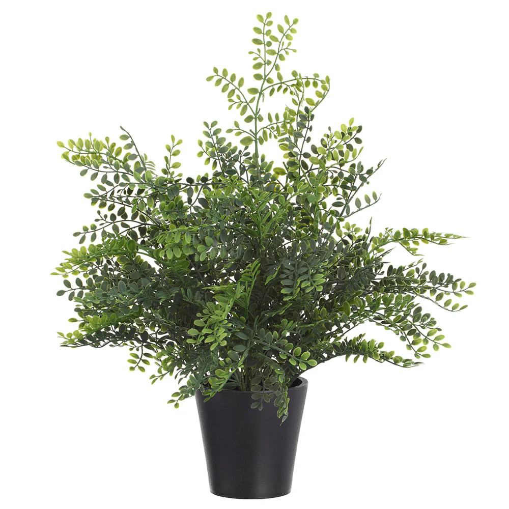 16.5" Maidenhair Leaf Fern Silk Plant w/Plastic Pot -Green (Pack of 6)