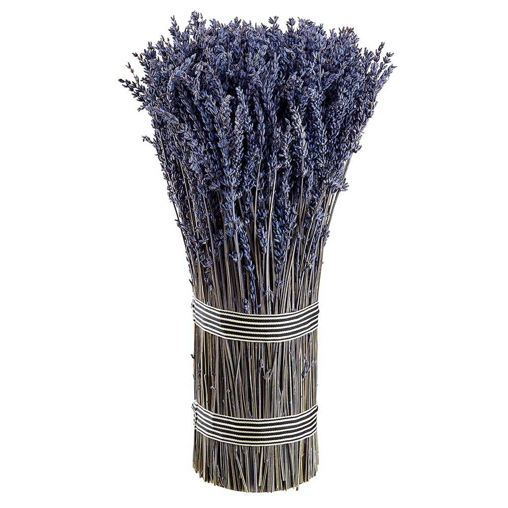 16.5" Preserved Lavender Flower Standing Arrangement Bundle -Lavender
