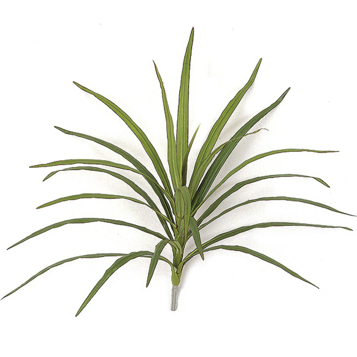 16" Dracaena Head Silk Plant -Green/Red (Pack of 12)