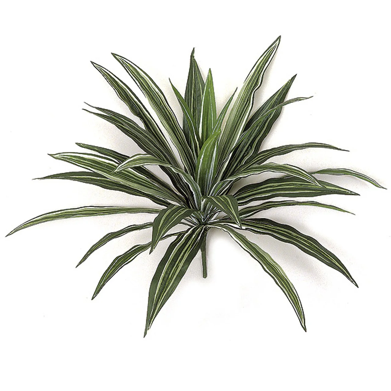16" Dracaena Head Silk Plant -Green/White (Pack of 12)