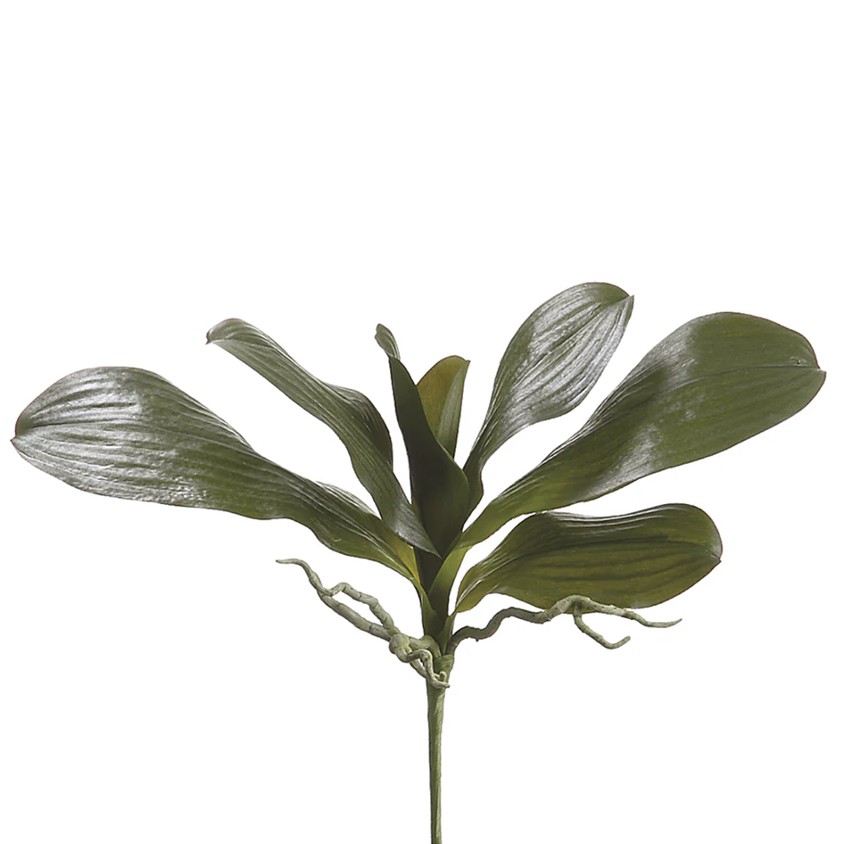 16" Hand-Wrapped Silk Phalaenopsis Orchid Leaf Plant Stem -Green (Pack of 12)