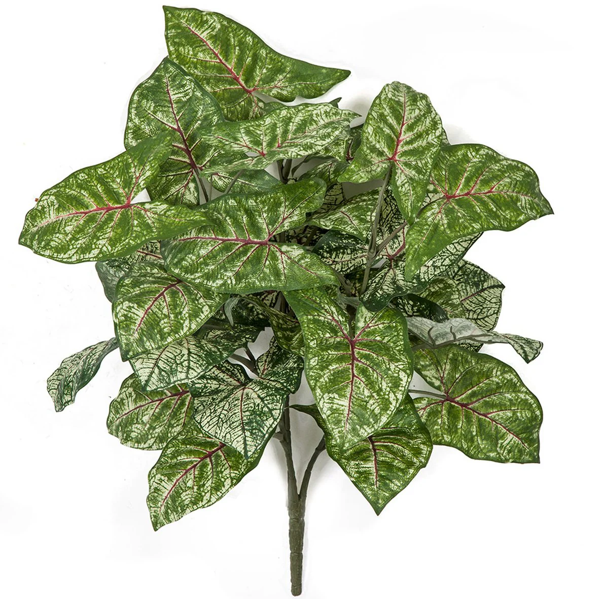 16" IFR Syngonium Leaf Artificial Plant -Green/White (Pack of 12)