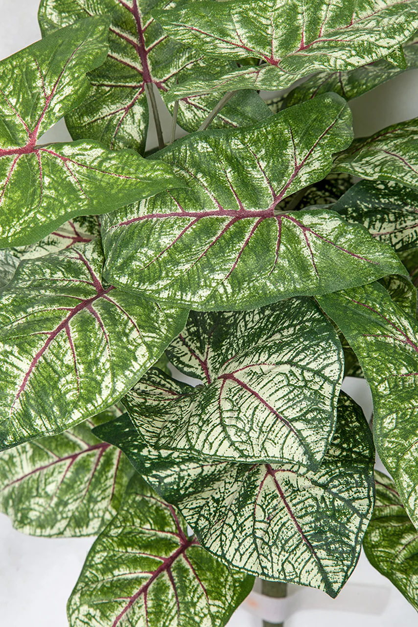 16" IFR Syngonium Leaf Artificial Plant -Green/White (Pack of 12) - Image 2