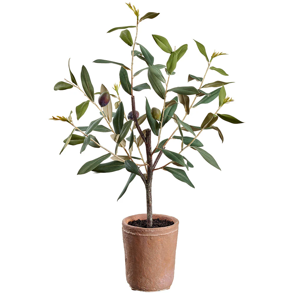 1'6" Olive Silk Tree w/Clay Pot -Green (Pack of 9)