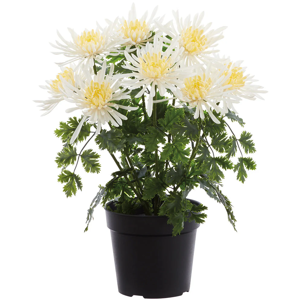 16" Outdoor UV-Resistant Artificial Flowering Mum Plant w/Pot -White (Pack of 4)