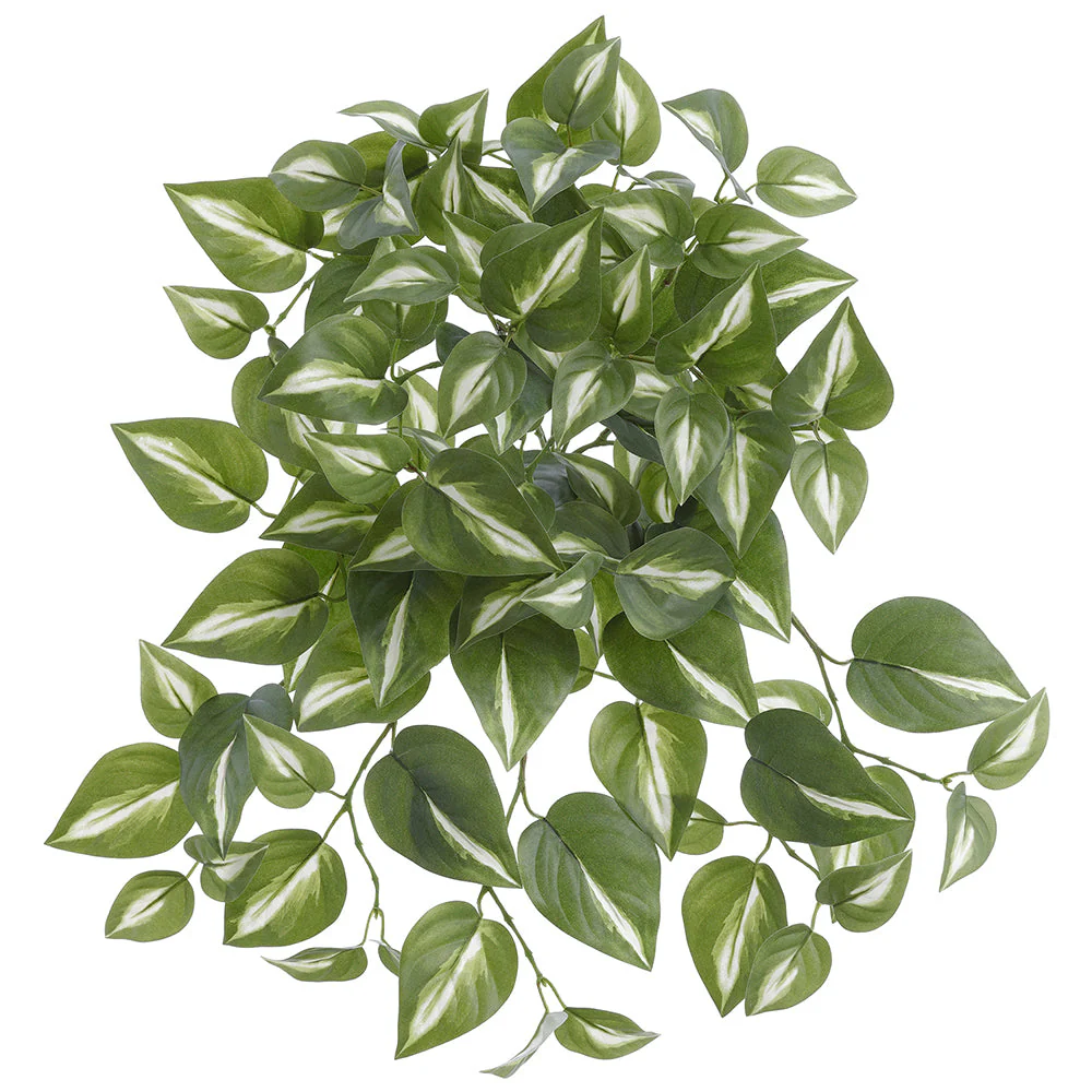 16" Outdoor UV-Resistant Artificial Hanging Philodendron Leaf Plant -Green/Variegated (Pack of 6)