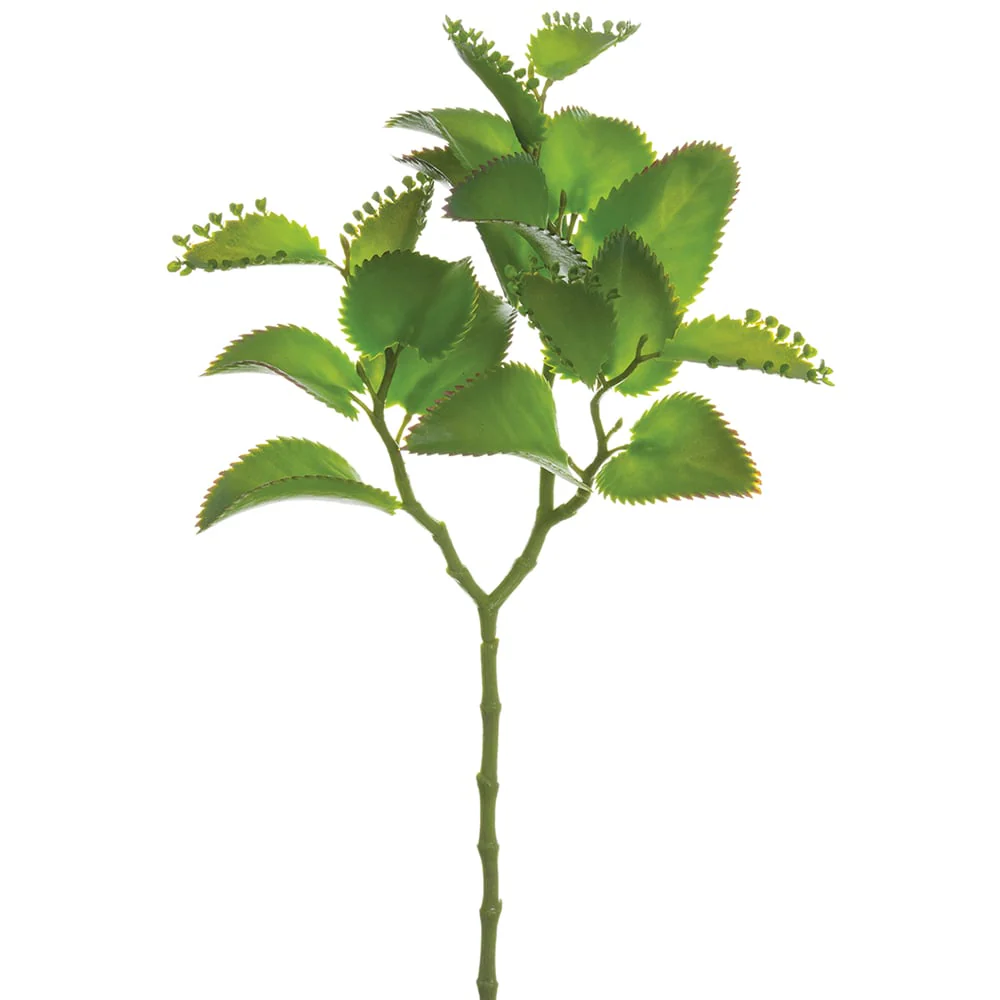16" Real Touch Artificial Kalanchoe Leaf Stem -Green (Pack of 12)
