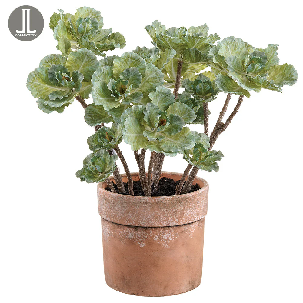 16" Silk Ornamental Cabbage Plant w/Clay Pot -Green (Pack of 2)