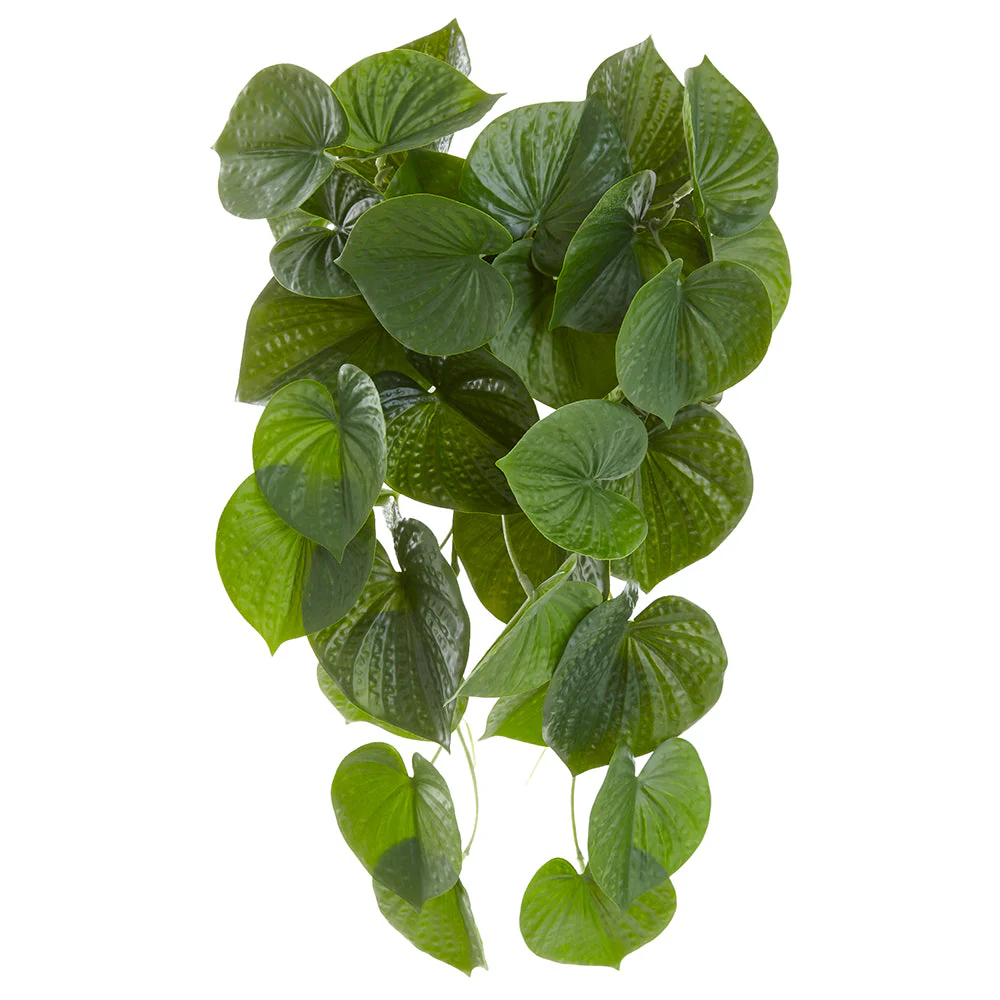 16" Silk Queen Of Hearts Leaf Hanging Plant -Green (Pack of 12)