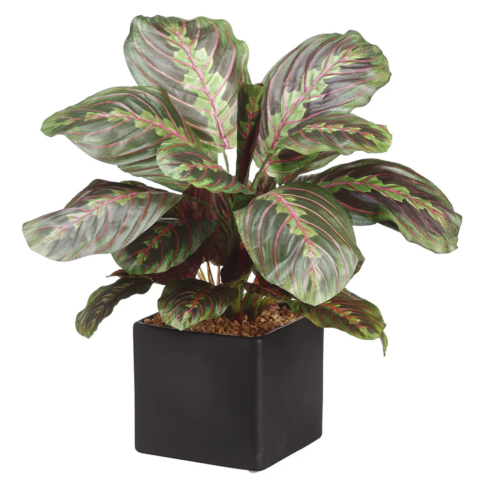 17.7" Maranta Leaf Silk Plant w/Ceramic Pot -Green/Burgundy (Pack of 3)