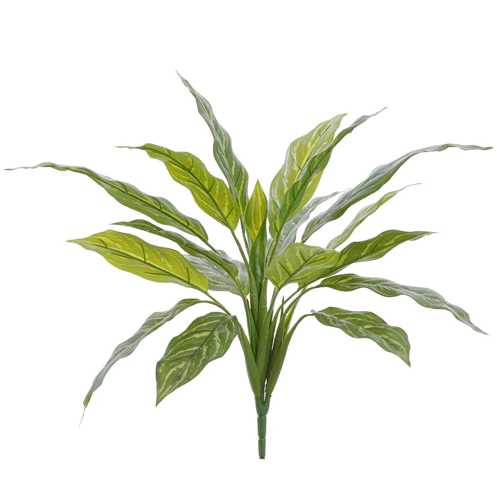 17" Aglaonema Silver Queen Silk Plant -Green/Variegated (Pack of 12)
